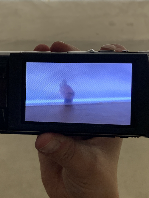 Bunny On A Surgery Table